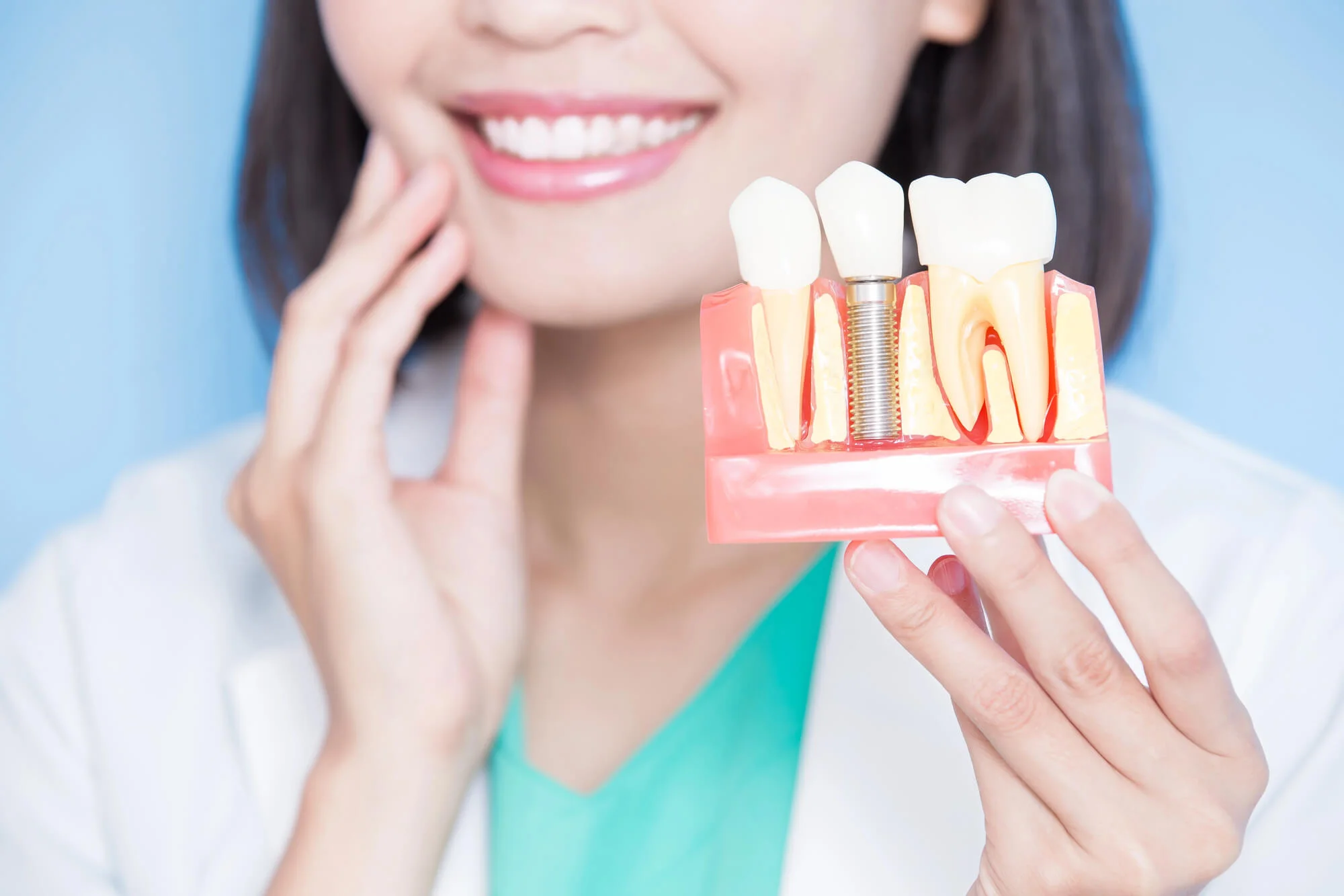 Dentist holding a model of Vero Beach Dental Implants